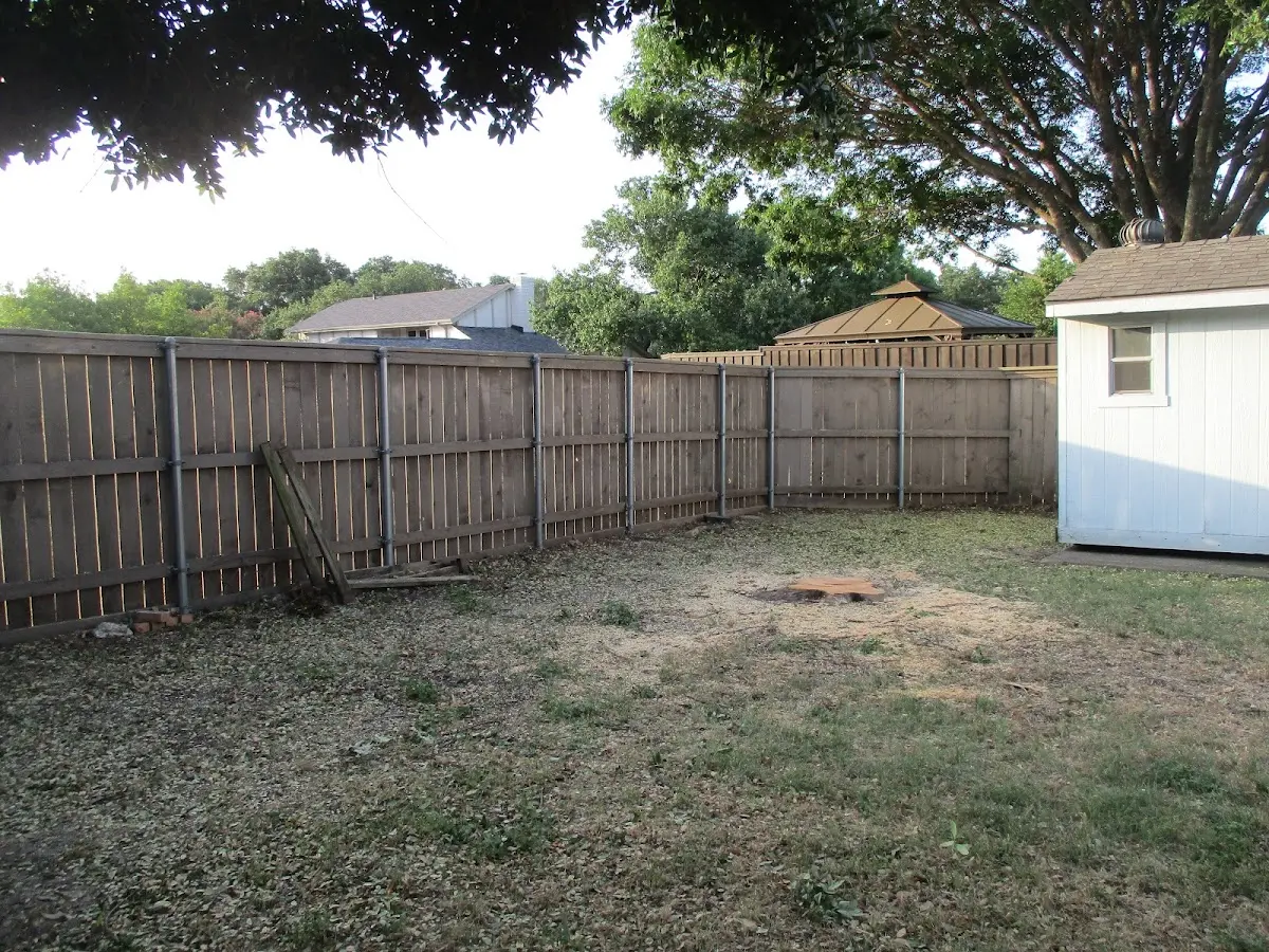 Cleared yard after professional tree removal in Chelsea